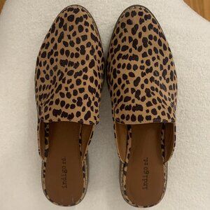 Indigo rd. Leopard Print Slip on Mules - size 7